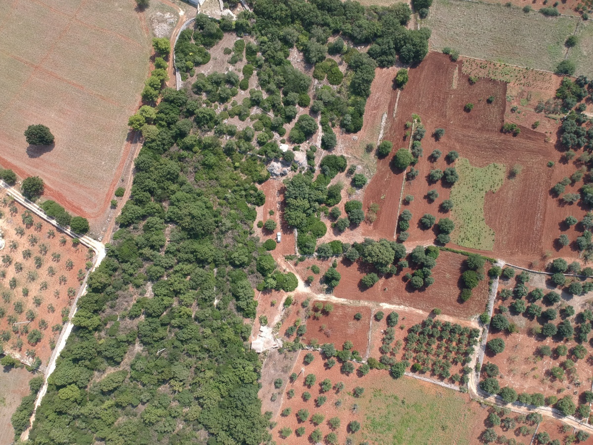 C.da Barbagianni-Foragno Comunale, Ostuni, 72017, ,Trullo,VENDITA,C.da Barbagianni-Foragno,1025